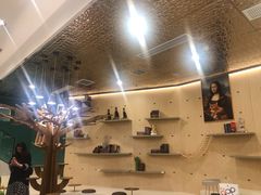 -飞行喵MR PILOT|猫舍·猫咖(静安大融城店)