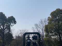 -苏州太湖国家湿地公园