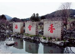 -香雪海