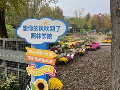 -浙江农林大学(东湖校区)