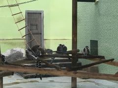 -太原动物园