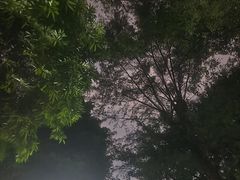 -晓港公园