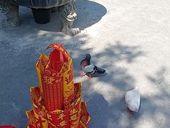 -悦城龙母祖庙