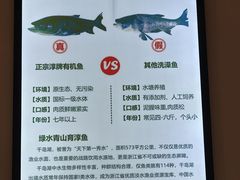-全乐鱼馆·淳牌有机鱼直营店