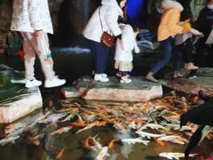 -泉城欧乐堡海洋极地世界