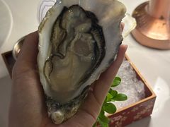 -普朗姆生蚝吧(原建国路店)