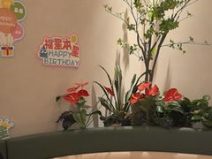 -Aqua Oasis 水天堂(太湖中心mall店)