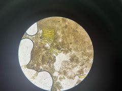 -瑞派宠物医院·犬猫全科·猫友好(宾水西道店)