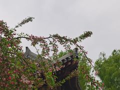 -元大都城垣遗址公园