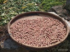 -会稽山峡洞漂流-上青古道