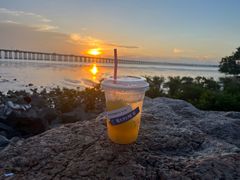 -宝安西湾红树林湿地公园