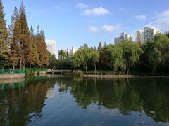 -新江湾城公园