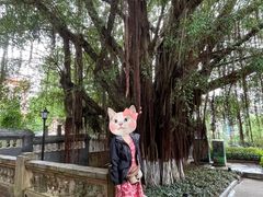 -鼓浪屿钢琴博物馆