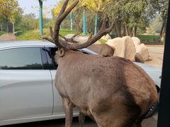 -北京野生动物园