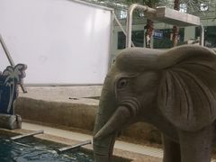 -天泉水都(子固路馆)