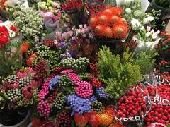 -双季花艺园艺市场(浦东店)
