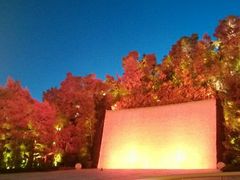 android_upload_pic-拉斯维加斯永利酒店