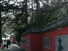 -妙峰山风景名胜区
