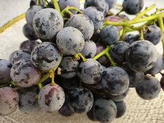 -天天向上素食餐厅(五台山店)