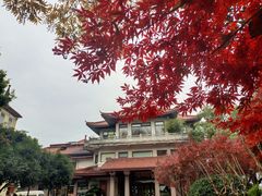 -湖畔居茶楼(湖滨店)