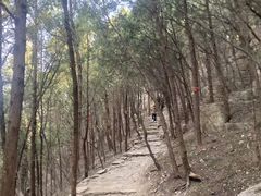 -腊山国家森林公园