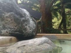-鱼凫国都大酒店温泉