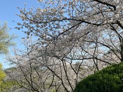 -中国茶叶博物馆(双峰馆区)