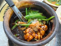 姜葱田鸡-明辉田鸡粥