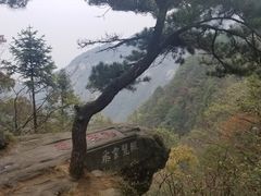 -庐山风景区花径公园