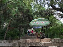 -北山公园