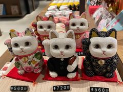 -茑屋书店(天目里店)