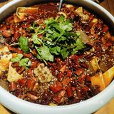 又辣又爽！！大口炫毛血旺[加油]