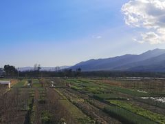 -翠田Green Field Kitchen