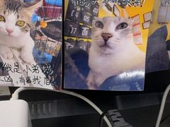-谜盒子奇幻密室(南屏店)