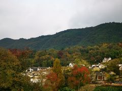 -塔川景区