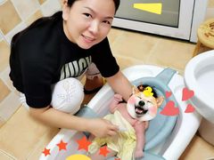 -汇慈安·高端自营月嫂(武汉月子尊享店)