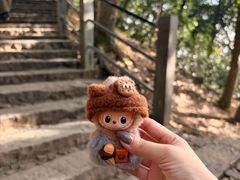 -灵顺寺