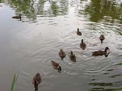 -朝阳公园游乐园