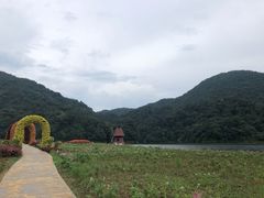 -广州市石门国家森林公园
