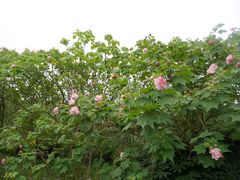 -贵阳市花溪国家城市湿地公园