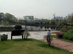 -王借岗森林公园