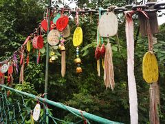 -西双版纳原始森林公园