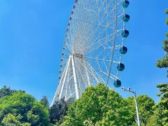 -凤岭儿童公园