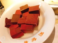 捞得嫩鸭血-蜀留香火锅·始于1999·原四川老火锅(白堤路店)