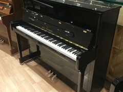 -柏斯音乐艺术中心·钢琴·吉他(世纪金源店)