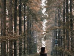 -黄海国家森林公园