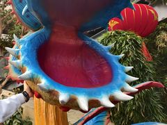 -沈阳植物园