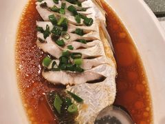 -金美华轩(东方路齐鲁店)