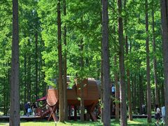 -黄海国家森林公园