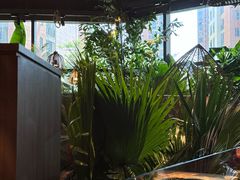 -大头椰·椰子鸡火锅(南宁万象城店)